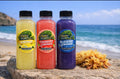 Signature Sea Moss Lemonade Trio