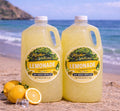 Signature Lemonade – 1/2 Gallon